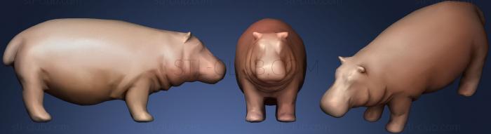 Hippopotamus 01